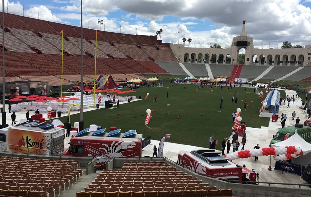 people on field with balloons