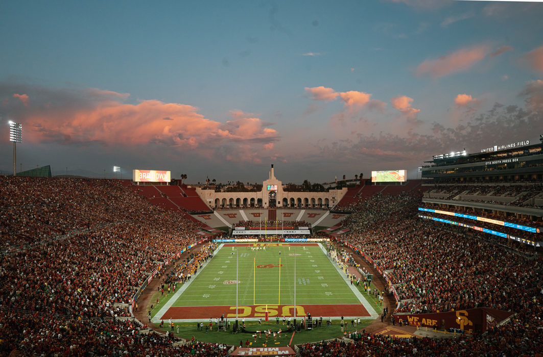 field at sunset