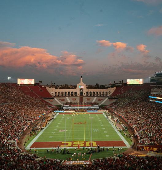 field at sunset