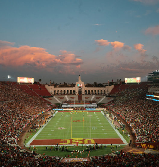 overlooking sunset of field